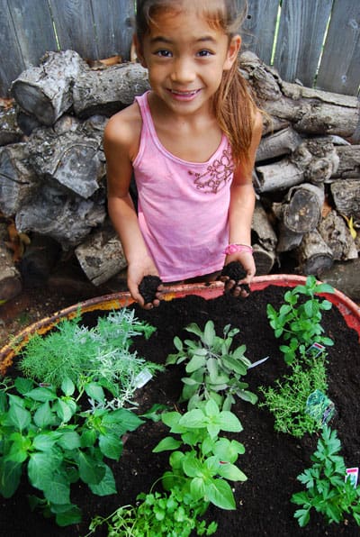 herb-garden-fun