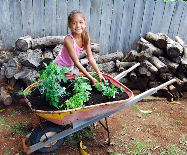 Plant an Herb Garden with a Reclaimed Wheelbarrow