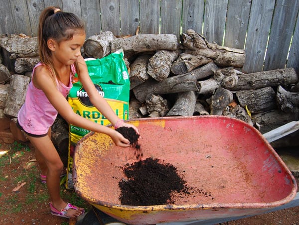 herb-garden-soil