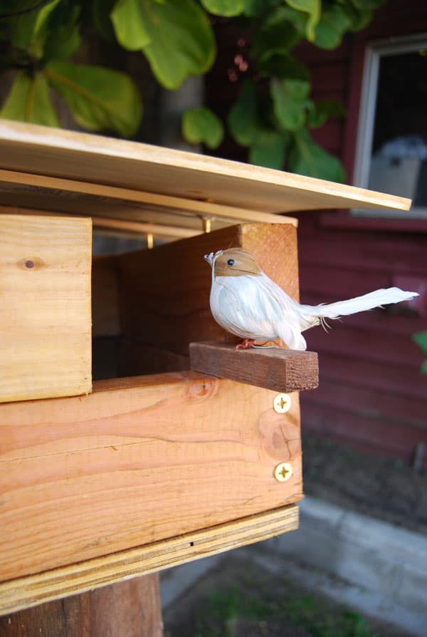 bird-on-birdhouse