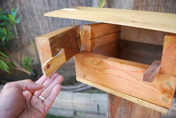 open-birdhouse-door