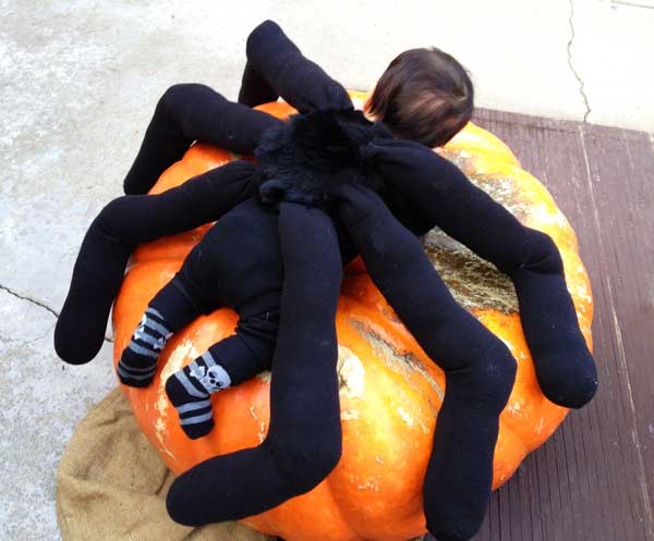 Spider-Pumpkin