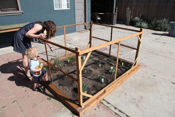 checking-garden