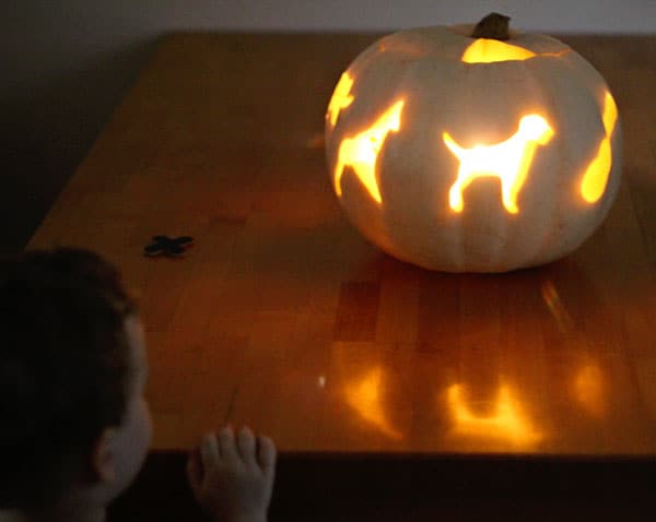 cookie-cutter-pumpkin-light