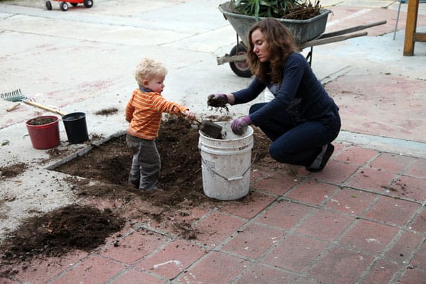 digging-plants