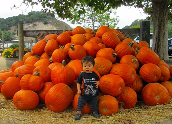 halloween-pumpkins