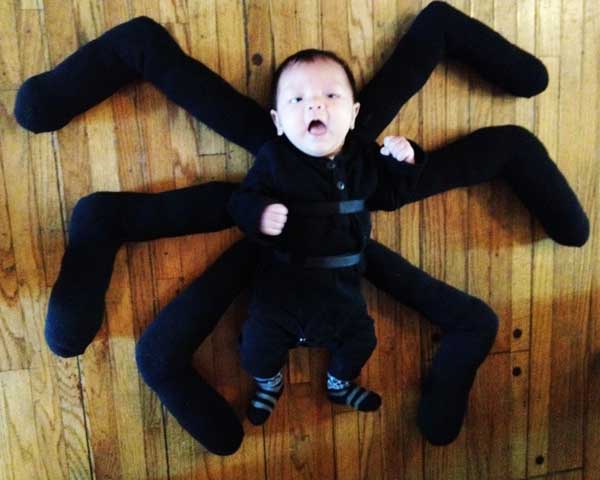 Baby boy spider halloween 2024 costume