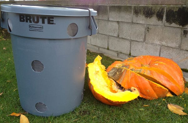 compost-bin-rotting-pumpkins