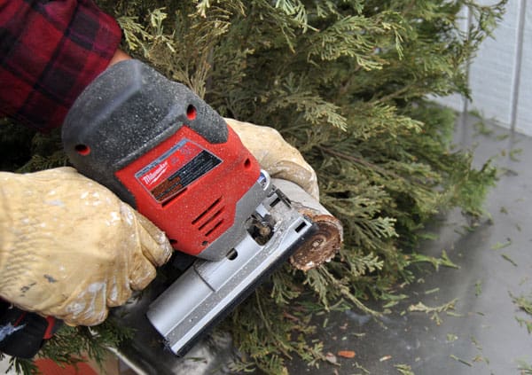 alt-summitl-cutting-tree