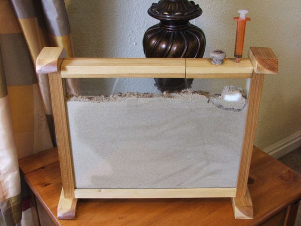 homemade ant farm