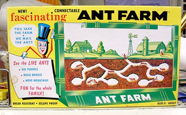 vintage-ant-farm