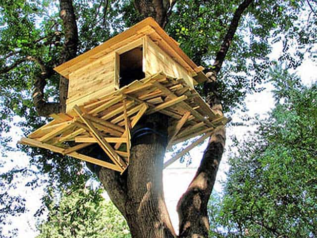 treehouse ideas