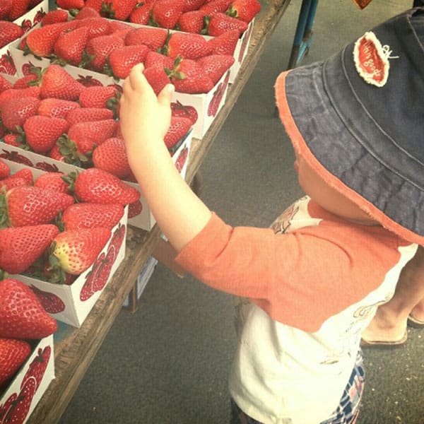 picking-berries