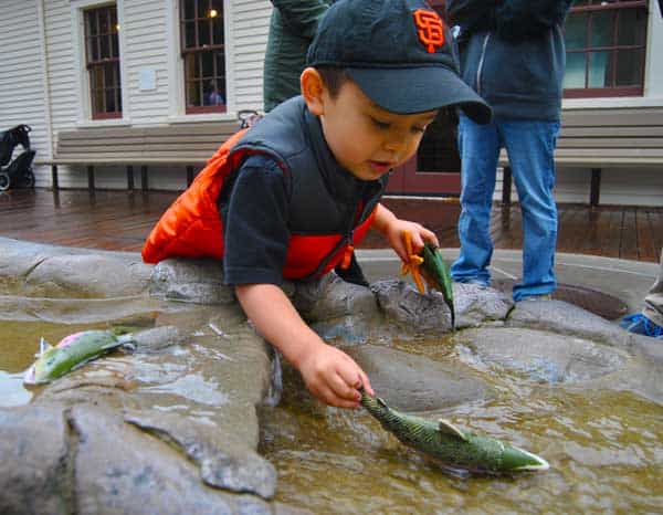 bay-area-discovery-museum-water