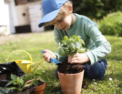A little boy potting plants in the garden