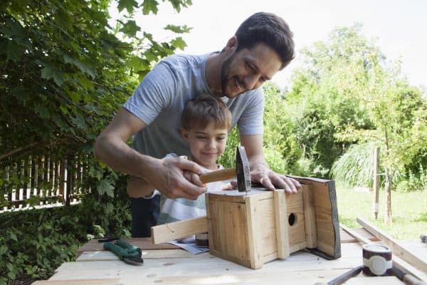 diy birdhouse