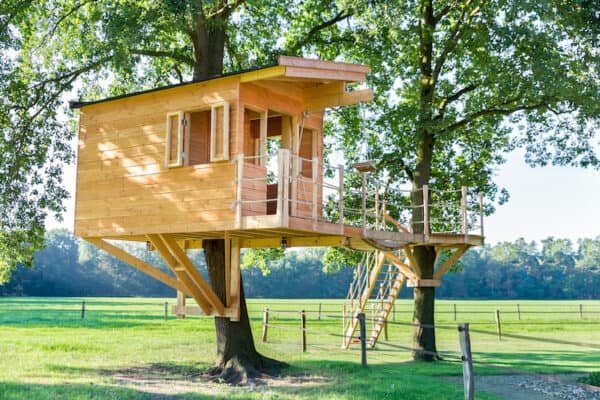 50 Kids Treehouse Designs