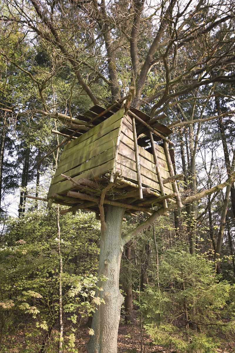 50 Kids Treehouse Designs