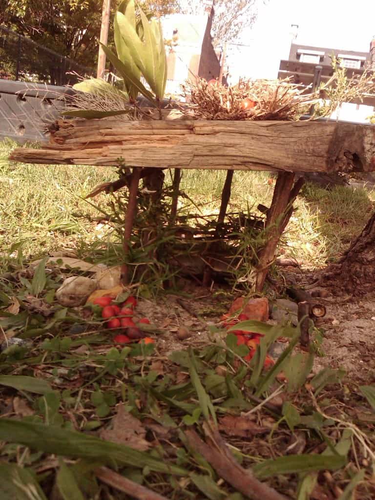 Building Knomes 30 Gnome Homes | Built by Kids - Empowering Kids to Build a Better Future