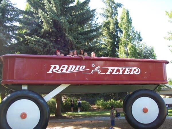 Radio flyer store wagon ideas