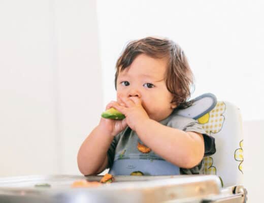 baby led weaning food