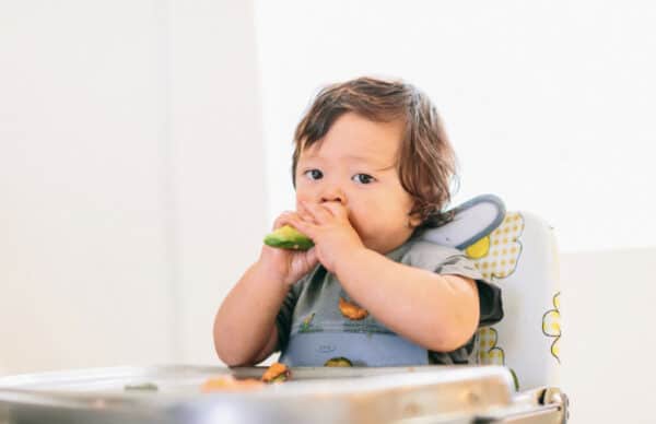 baby led weaning food