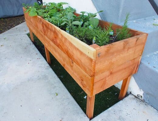 raised planter box