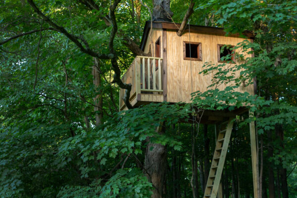 cabin treehouse in the woods