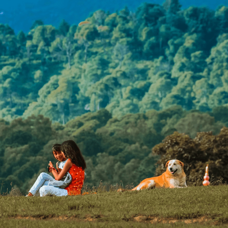 A child sitting with her dog in a field