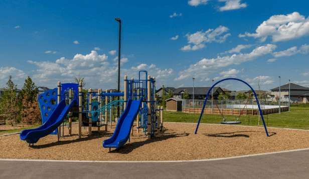 Large blue playground set with slides and a tire swing