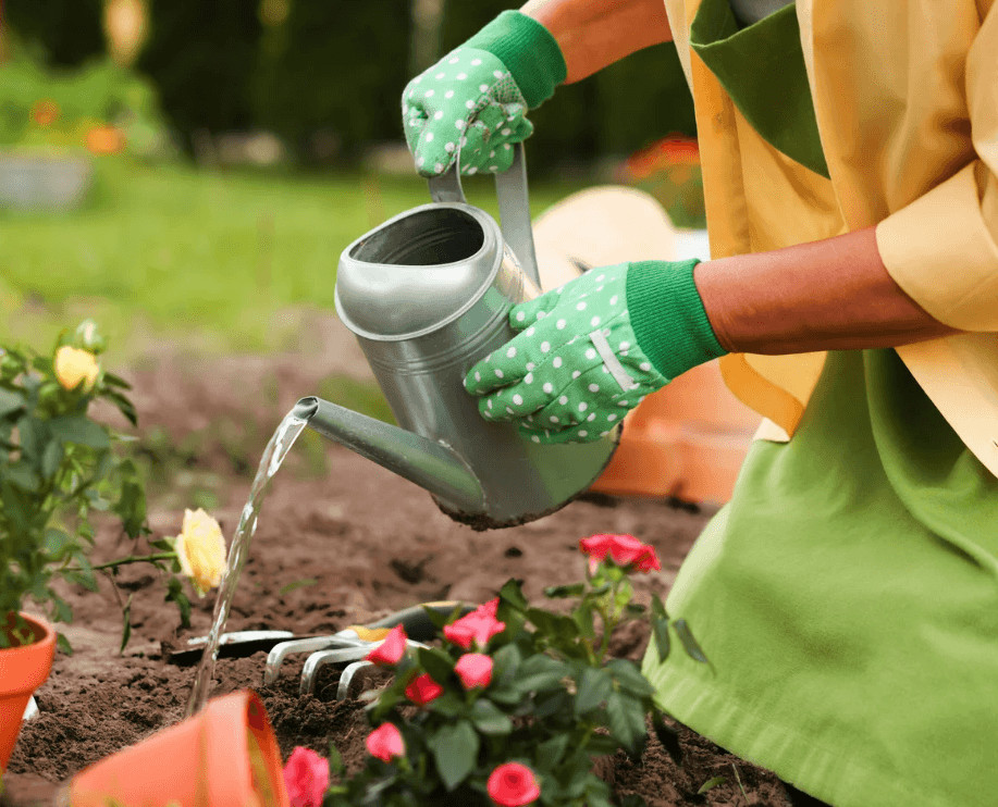 gardening activities