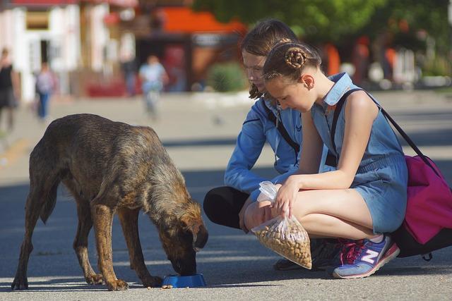teach children about charity