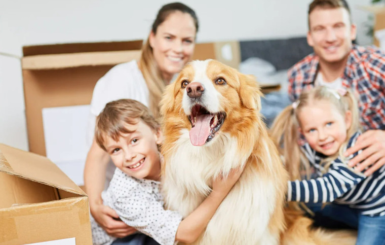 make moving less stressful for kids