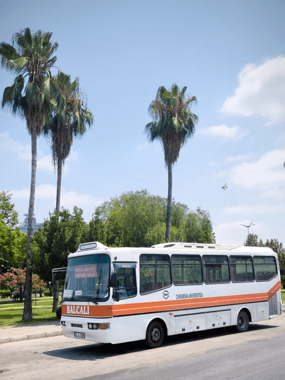 Bus parked on the side of the road