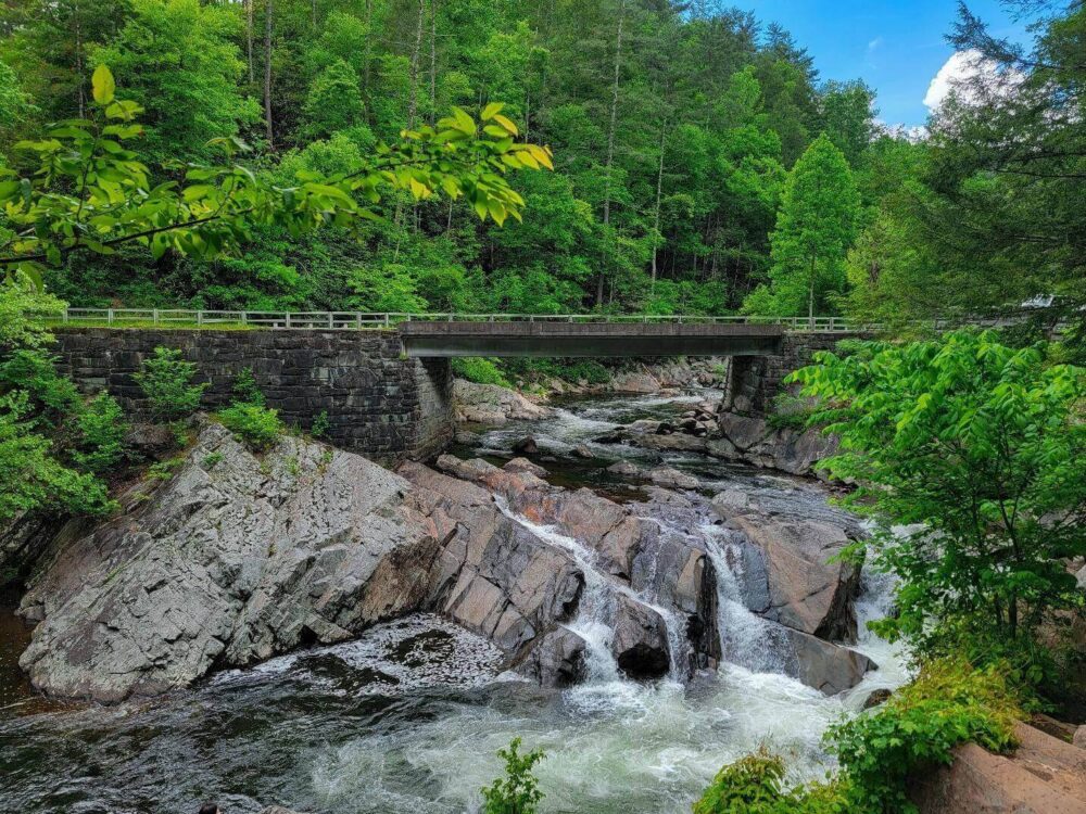 Families connecting in nature on a bridge over a