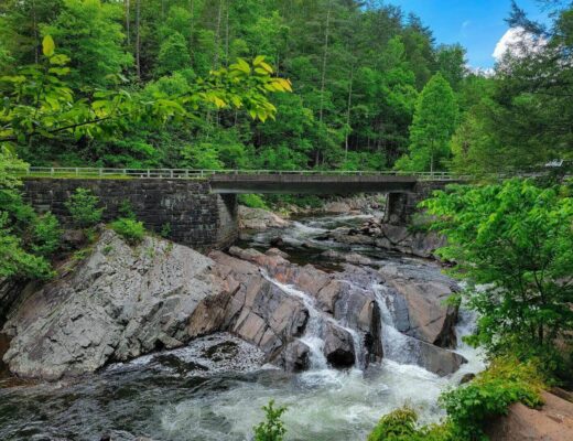 Families connecting in nature on a bridge over a