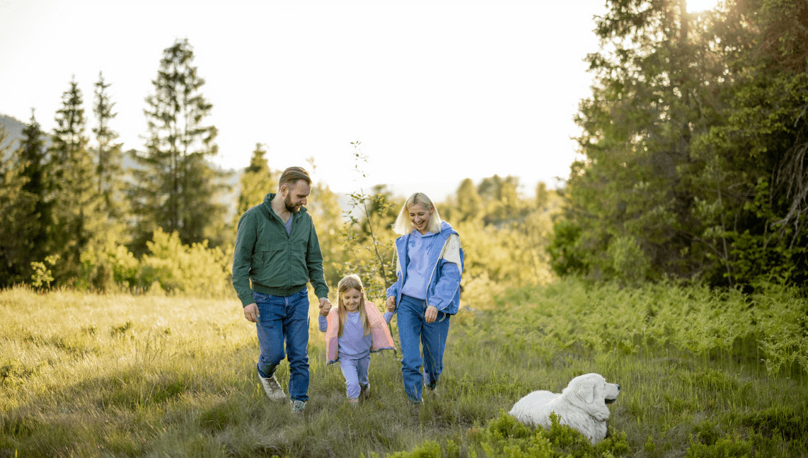 Family Habits That Support Healthy Hips in Dogs
