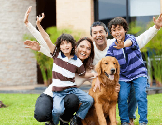 Family Movement Habits That Support Healthy Hips in Dogs
