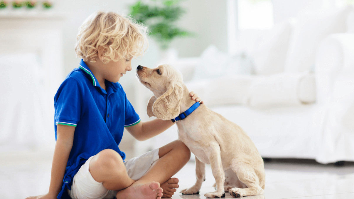 kid and puppy